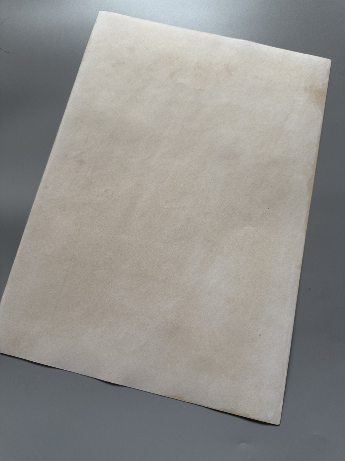Black backing board and protective packaging of Inuyasha Scene
