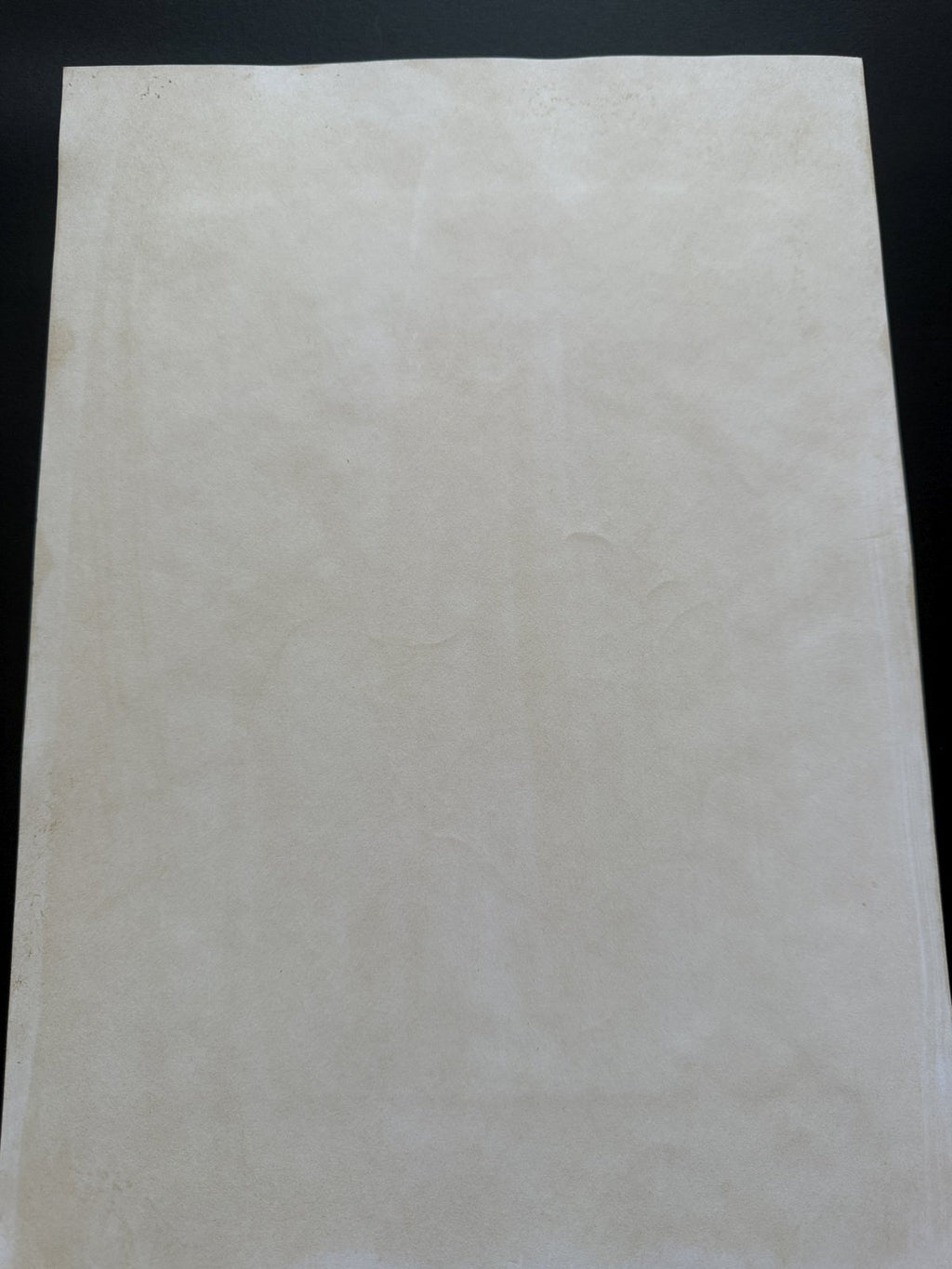 Black backing board and protective packaging of Kyoko Portrait