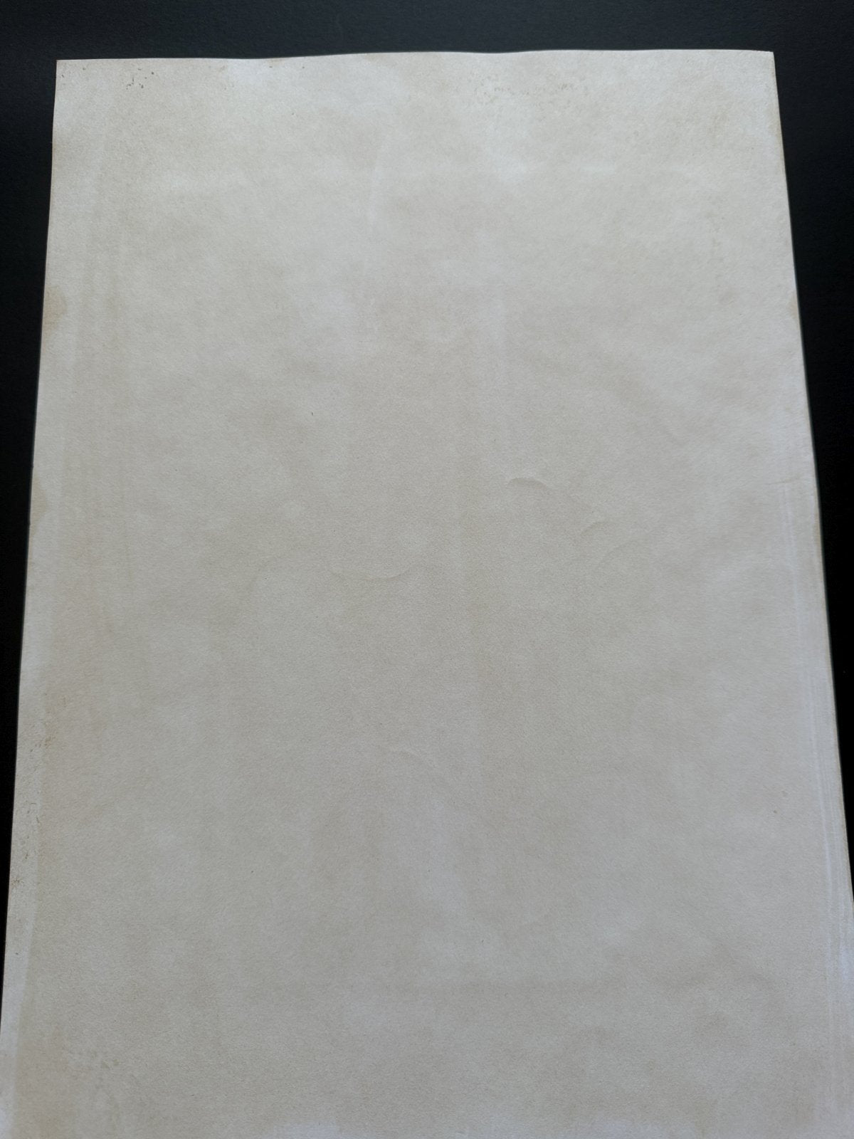Black backing board and protective packaging of Kyoko Portrait