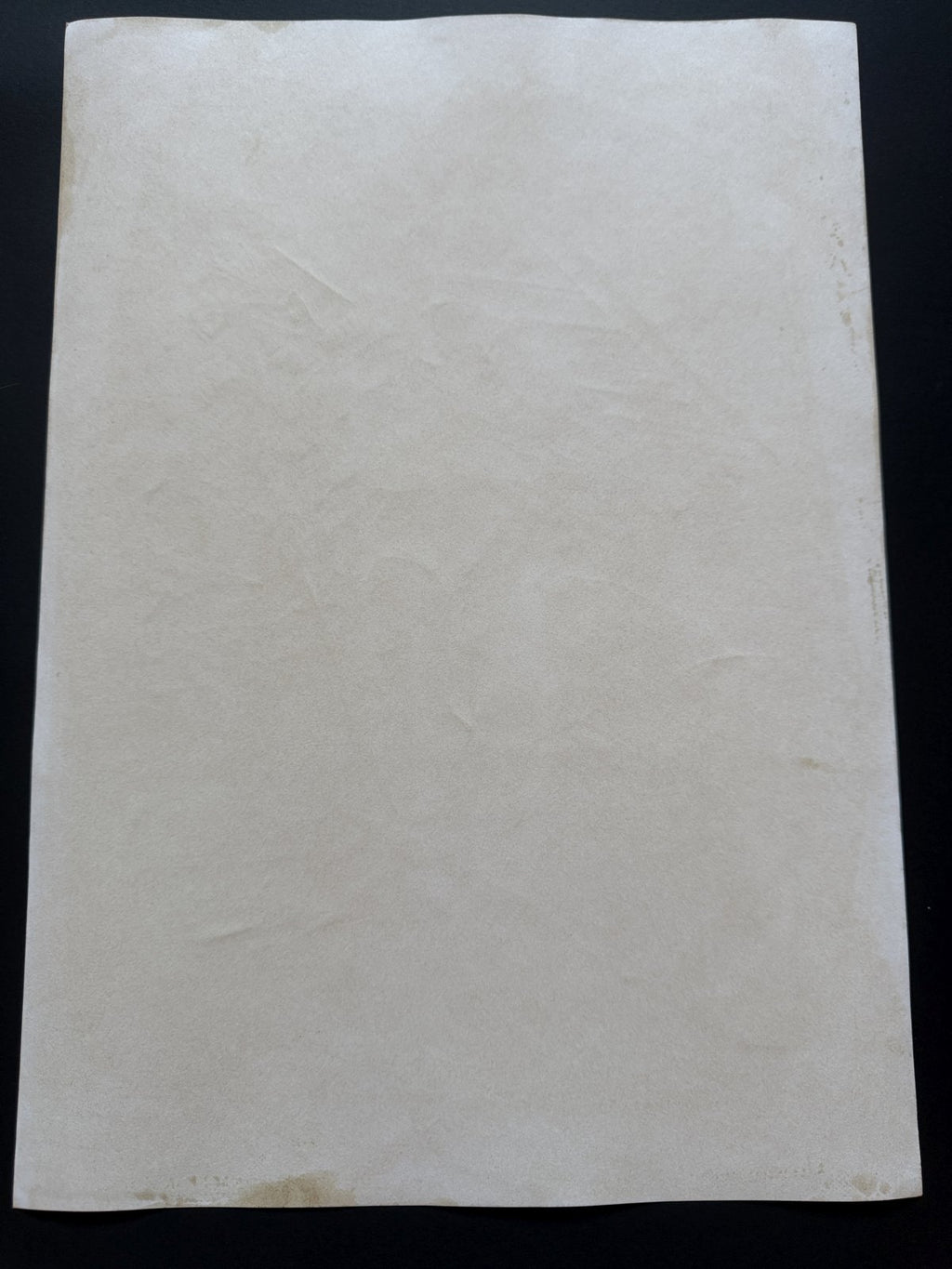 Black backing board and protective packaging of Maison Ikkoku Scene