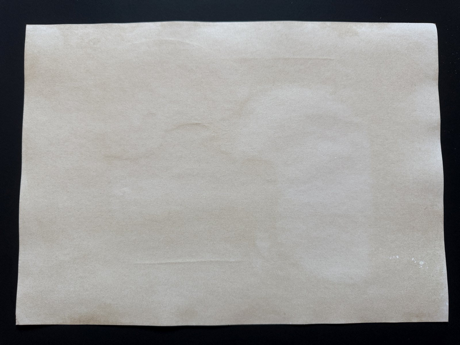 Black backing board and protective packaging of Maison Ikkoku Scene