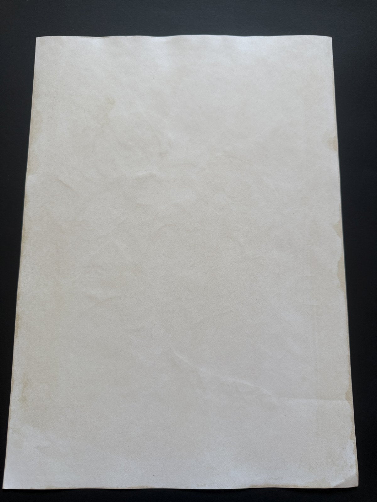 Black backing board and protective packaging of Maison Ikkoku Scene