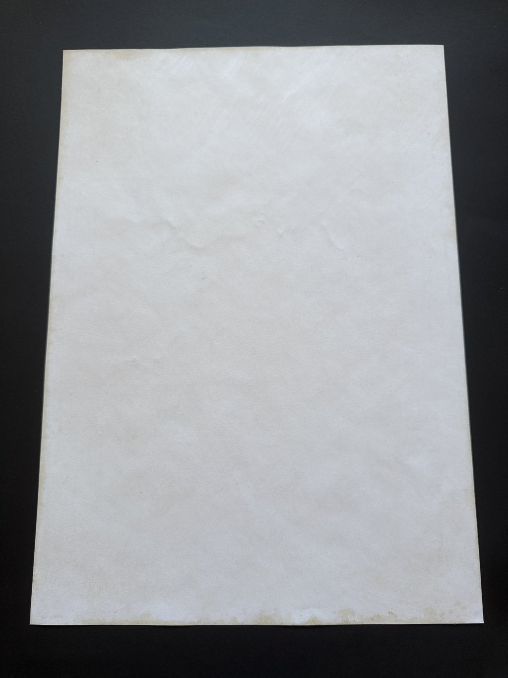 Black backing board and protective packaging of Inuyasha Scene