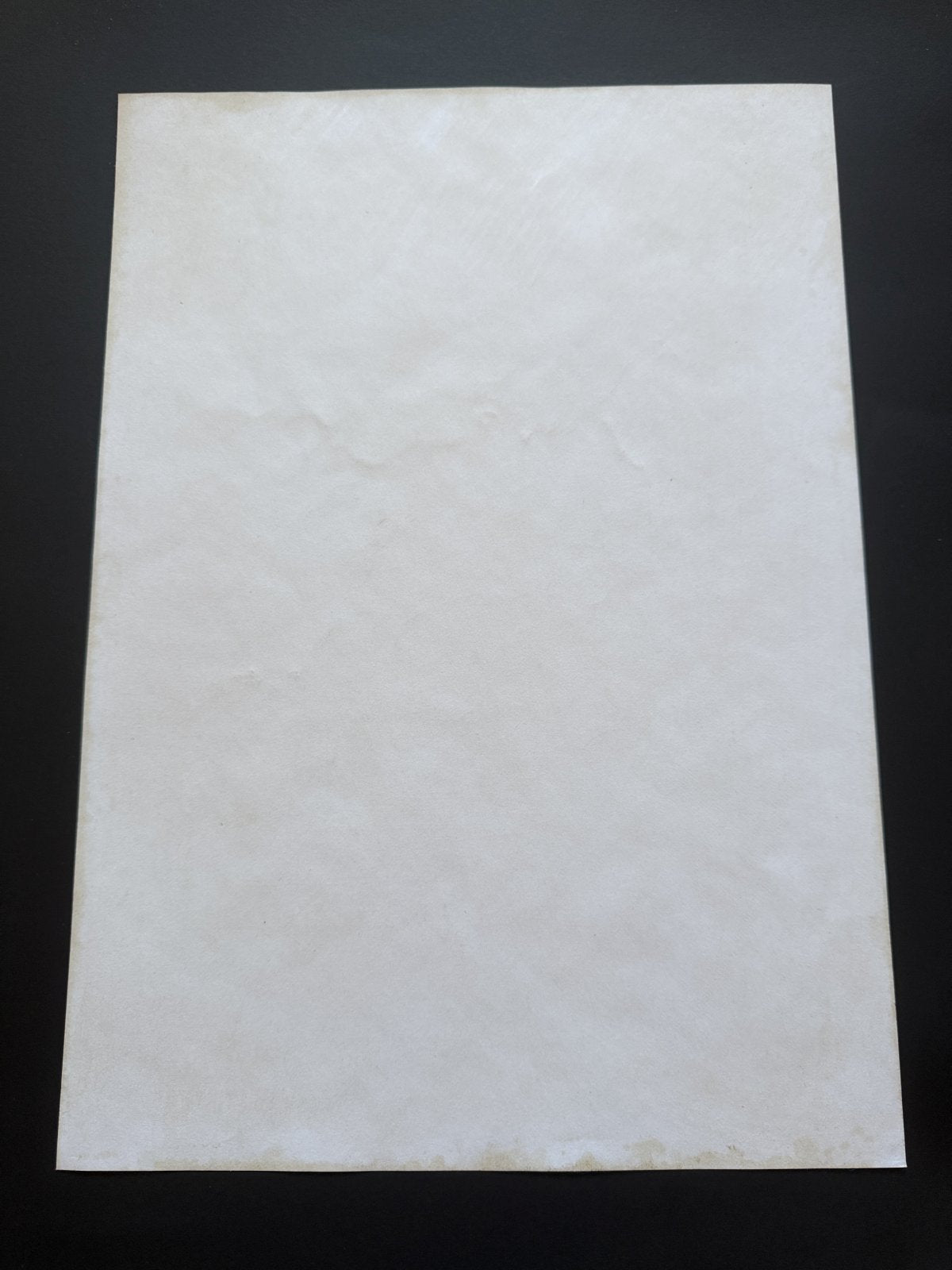 Black backing board and protective packaging of Inuyasha Scene