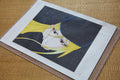 Hand drawn Galaxy Express 999 manga panel Maetel starfield vintage comic art
