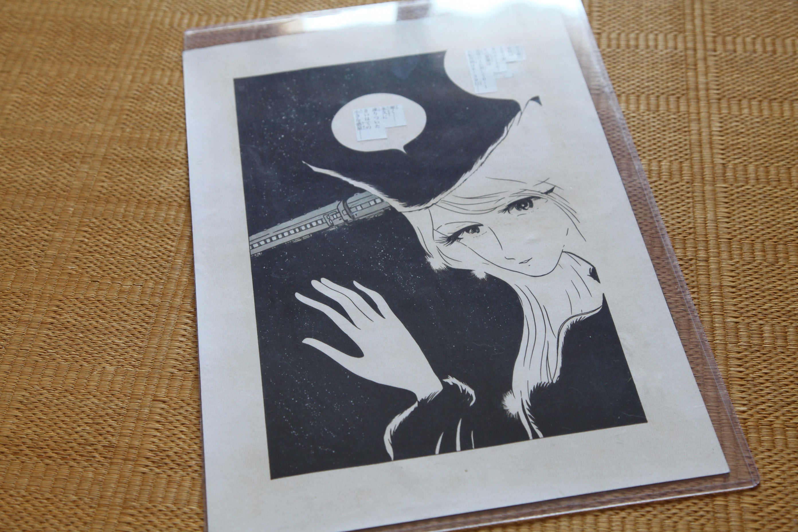 Hand drawn Galaxy Express 999 Maetel portrait vintage manga art in protective sleeve