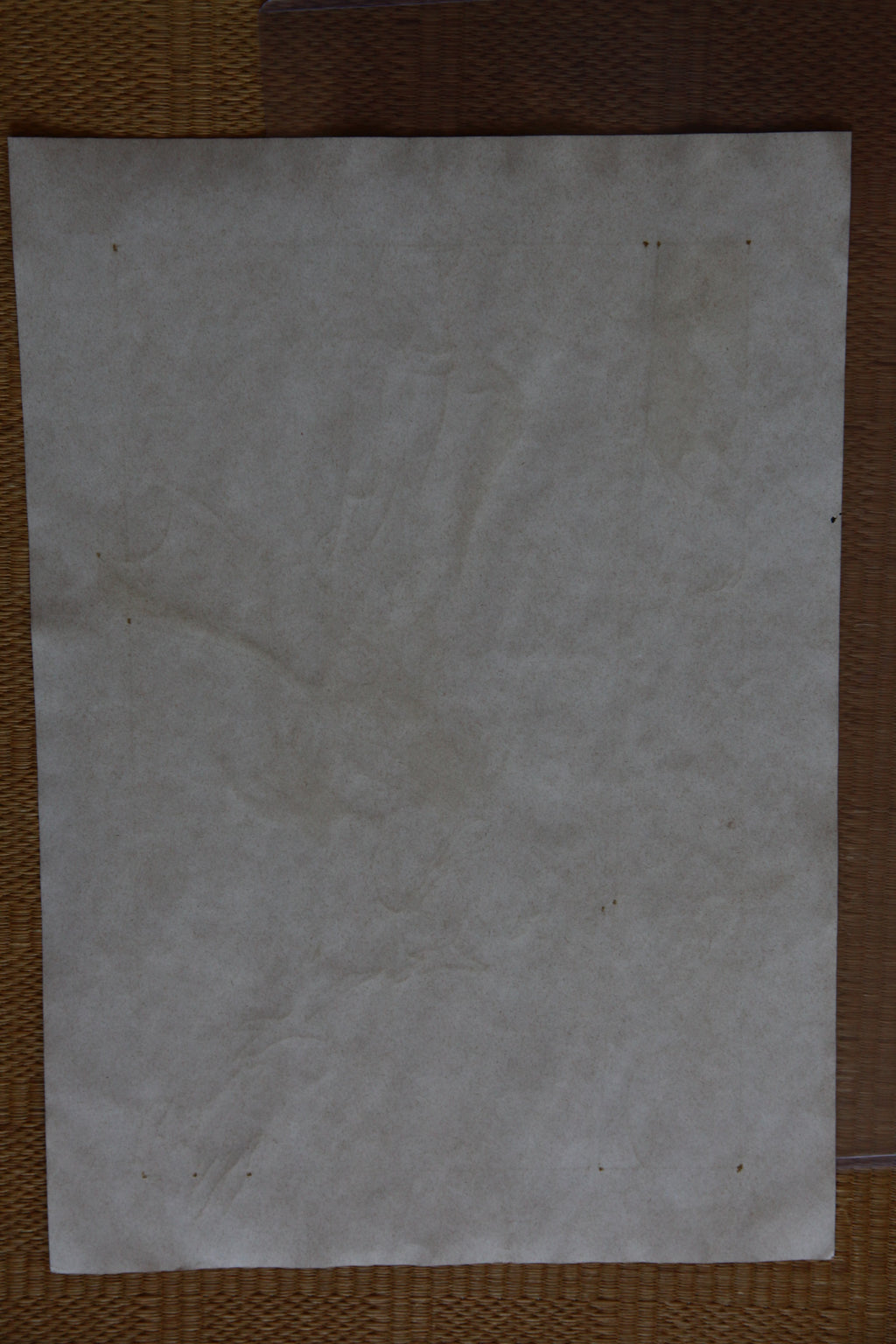 Black backing board and protective packaging of Captain Harlock Portrait